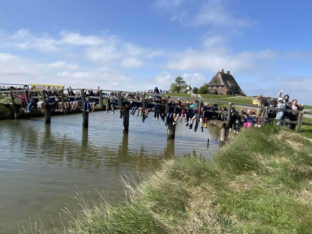 25 Hallig Hooge
